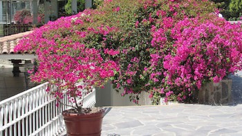 Guizado Portillo Hacienda & Resort