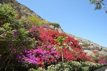 Guizado Portillo Hacienda & Resort