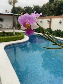 Berlor Airport Inn