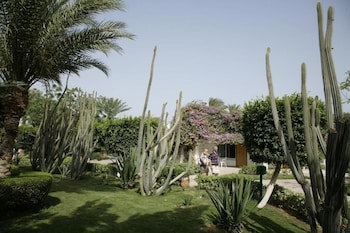 Shams Safaga Resort - All Inclusive