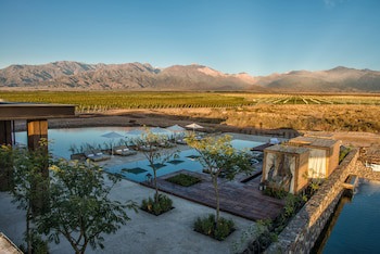The Vines Resort & Spa