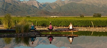 The Vines Resort & Spa