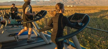 The Vines Resort & Spa