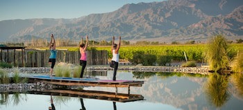 The Vines Resort & Spa