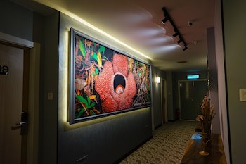Hotel 17