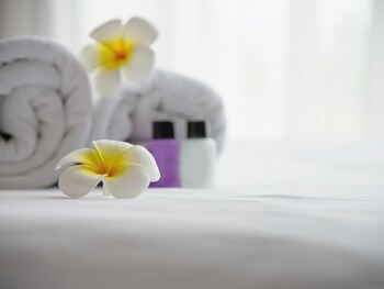Dalaman Airport Lykia Thermal & Spa Hotel
