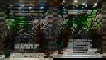 The New Hotel Zeybek