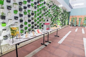 Biohotel Organic Suites