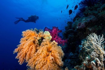 Club Paradisio El Gouna Red Sea