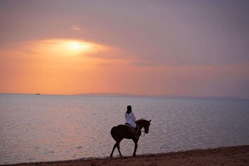 Club Paradisio El Gouna Red Sea