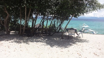Sea Turtle House
