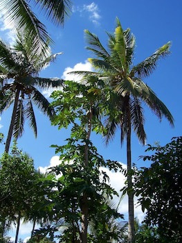 Blue Moon Beach Holiday Resort