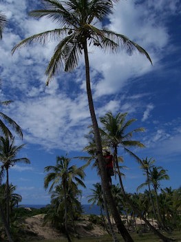 Blue Moon Beach Holiday Resort