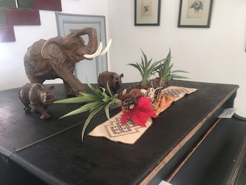 Dusternbrook Safari Guest Farm