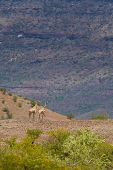 Grootberg Lodge
