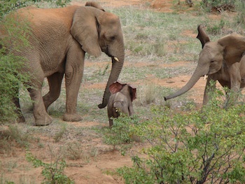 Grootberg Lodge