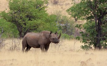Grootberg Lodge