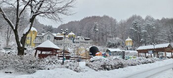 Elf Resort Hotel