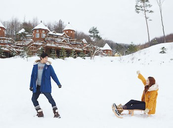 Elf Resort Hotel