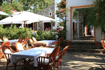Okaliptus Hotel galeri fotoğrafı