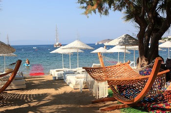 Okaliptus Hotel fotoğrafı