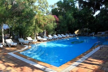 Okaliptus Hotel galeri fotoğrafı