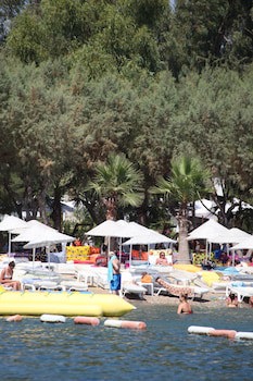 Okaliptus Hotel fotoğrafı