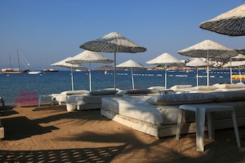 Okaliptus Hotel fotoğrafı