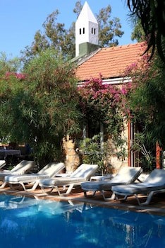 Okaliptus Hotel galeri fotoğrafı