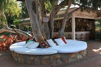 Okaliptus Hotel galeri fotoğrafı
