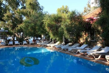 Okaliptus Hotel galeri fotoğrafı