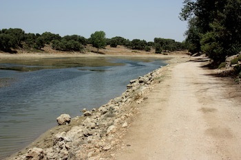 Dar El Bali