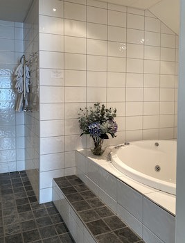 Hotel Skansen