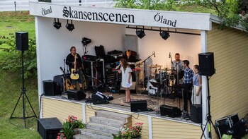 Hotel Skansen