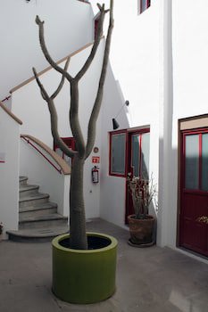 Boutique Kuku Ruku