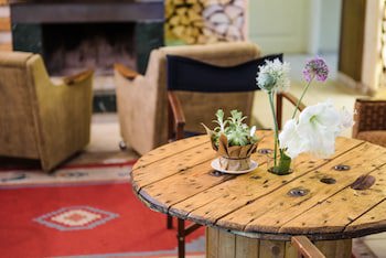 Downtown Forest Hostel & Camping