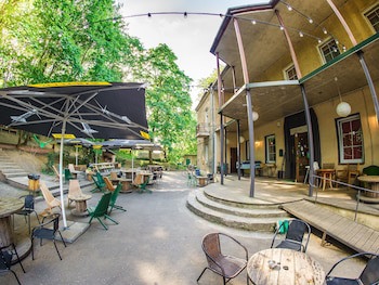 Downtown Forest Hostel & Camping