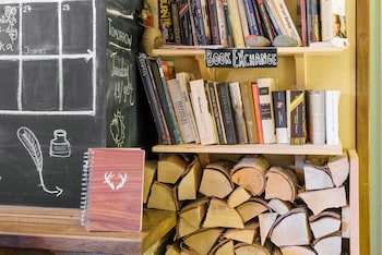 Downtown Forest Hostel & Camping