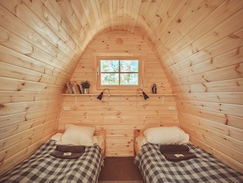 Downtown Forest Hostel & Camping