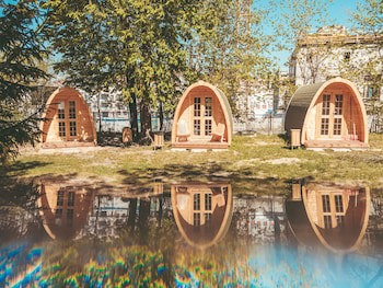 Downtown Forest Hostel & Camping