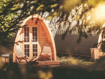 Downtown Forest Hostel & Camping