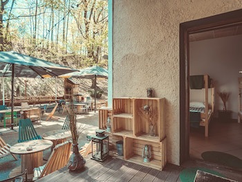 Downtown Forest Hostel & Camping