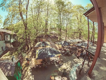 Downtown Forest Hostel & Camping