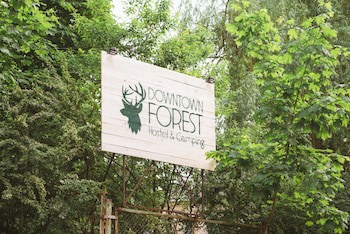 Downtown Forest Hostel & Camping