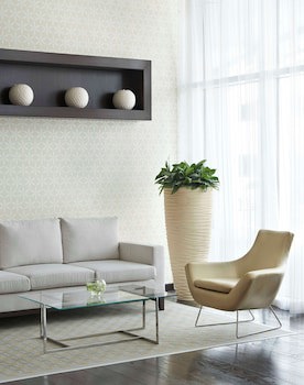 Hyatt Place Dubai Al Rigga fotoğrafı