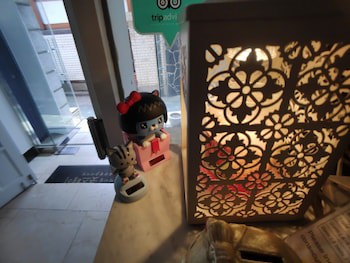 Beewon Guest House - Hostel