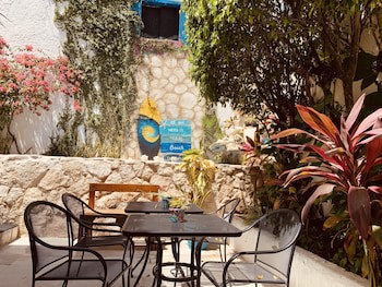 Caribo Cozumel