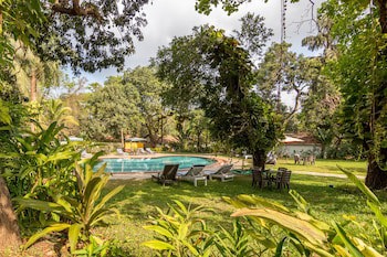 Granpa's Inn Hotel Bougainvillea