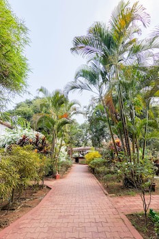 Granpa's Inn Hotel Bougainvillea