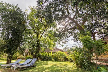 Granpa's Inn Hotel Bougainvillea